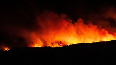 Evacuaciones, ola de calor… Actualización sobre el incendio que asola los Pirineos Orientales Evacuaciones, ola de calor… Actualización sobre el incendio que asola los Pirineos Orientales